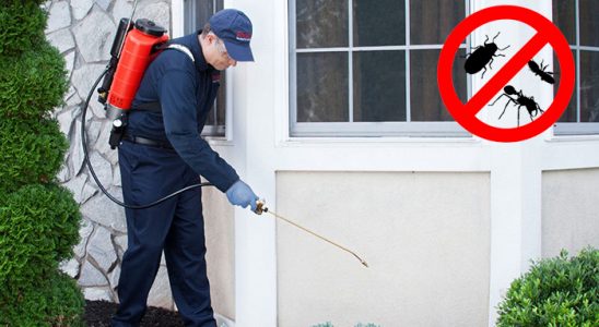Salıpazarı Karınca İlaçlama böcek ilaçlama ve haşere kontrolü — ilaclama-tr.com